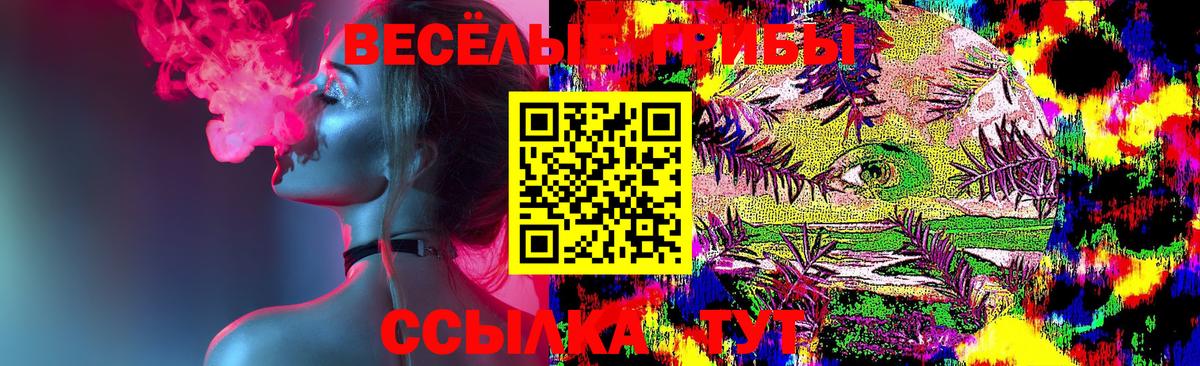Псилоцибиновые грибы Psilocybine cubensis Великий Устюг